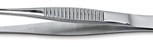 15919_lrg